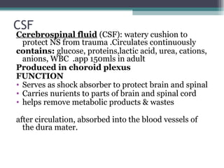 CSF
Cerebrospinal fluid (CSF): watery cushion to
protect NS from trauma .Circulates continuously
contains: glucose, proteins,lactic acid, urea, cations,
anions, WBC .app 150mls in adult
Produced in choroid plexus
FUNCTION
• Serves as shock absorber to protect brain and spinal
• Carries nurients to parts of brain and spinal cord
• helps remove metabolic products & wastes
after circulation, absorbed into the blood vessels of
the dura mater.
 