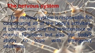 The nervous system
The nervous system is responsible for
coordinating all of the body's activities.
It controls not only the maintenance of
normal functions but also the body's
ability to cope with emergency
situations.
 