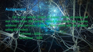On a one whole sheet of paper, write an essay, of
not more than 200 words, about how could we survive
without our nervous system. Your work will be graded
using this rubric :
Content – 60%
Grammar – 40%
Assignment
 