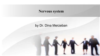 Nervous system
by Dr. Dina Merzeban
 