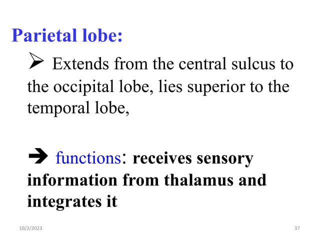 Nervous System Edited Ppt