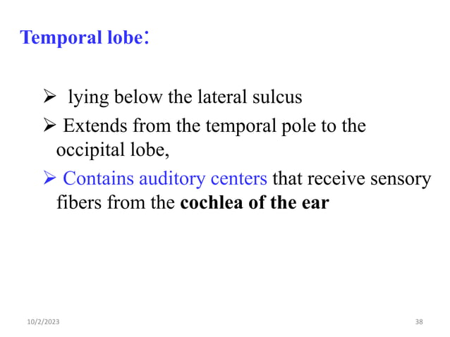 Nervous System Edited Ppt