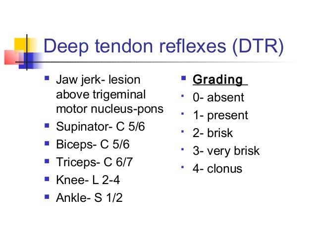 brisk reflexes brisk reflexes
