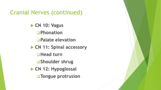 Cranial Nerves (continued)
 CN 10: Vagus
Phonation
Palate elevation
 CN 11: Spinal accessory
Head turn
Shoulder shrug
 CN 12: Hypoglossal
Tongue protrusion
 