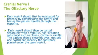 Cranial Nerve I
The Olfactory Nerve
 Each nostril should first be evaluated for
potency by compressing one nostril and
having the patient breath through the
opposite.
 Each nostril should then be tested
separately with a volatile, non-irritating
substance such as cloves, coffee or vanilla.
The patient should close his eyes, occlude
one nostril and identify the substance
placed under the open nostril.
 