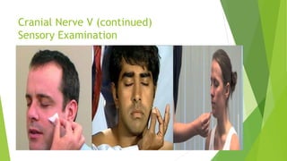 Cranial Nerve V (continued)
Sensory Examination
 