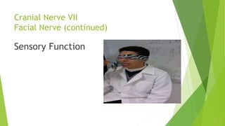 Cranial Nerve VII
Facial Nerve (continued)
Sensory Function
 