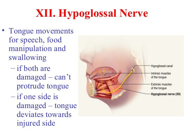 Can Food Increase Nerve Pain Can Food Increase Nerve Pain