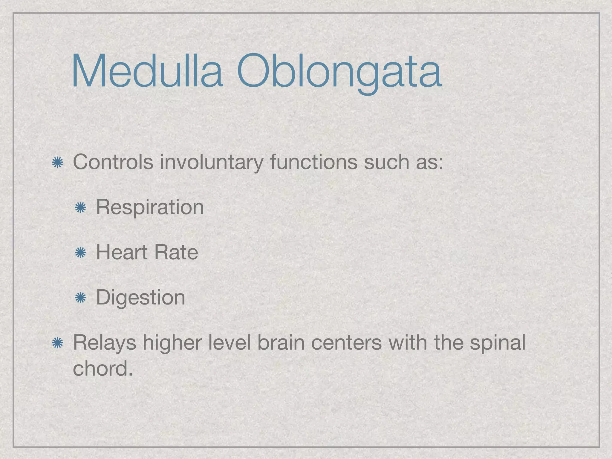 Medulla Oblongata
Controls involuntary functions such as:

Respiration

Heart Rate

Digestion

Relays higher level brain centers with the spinal
chord.
 