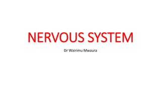 NERVOUS SYSTEM
Dr Wairimu Mwaura
 
