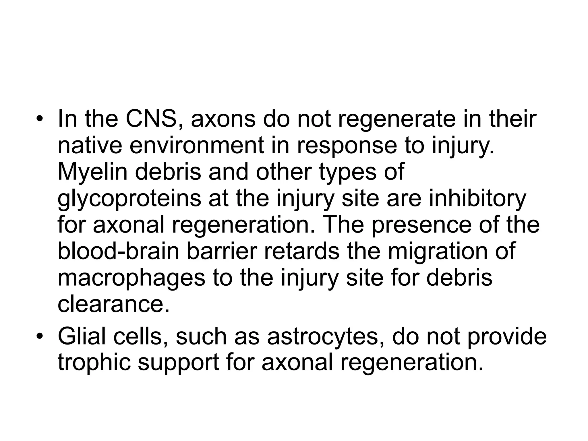 • In the CNS, axons do not regenerate in their
native environment in response to injury.
Myelin debris and other types of
glycoproteins at the injury site are inhibitory
for axonal regeneration. The presence of the
blood-brain barrier retards the migration of
macrophages to the injury site for debris
clearance.
• Glial cells, such as astrocytes, do not provide
trophic support for axonal regeneration.
 