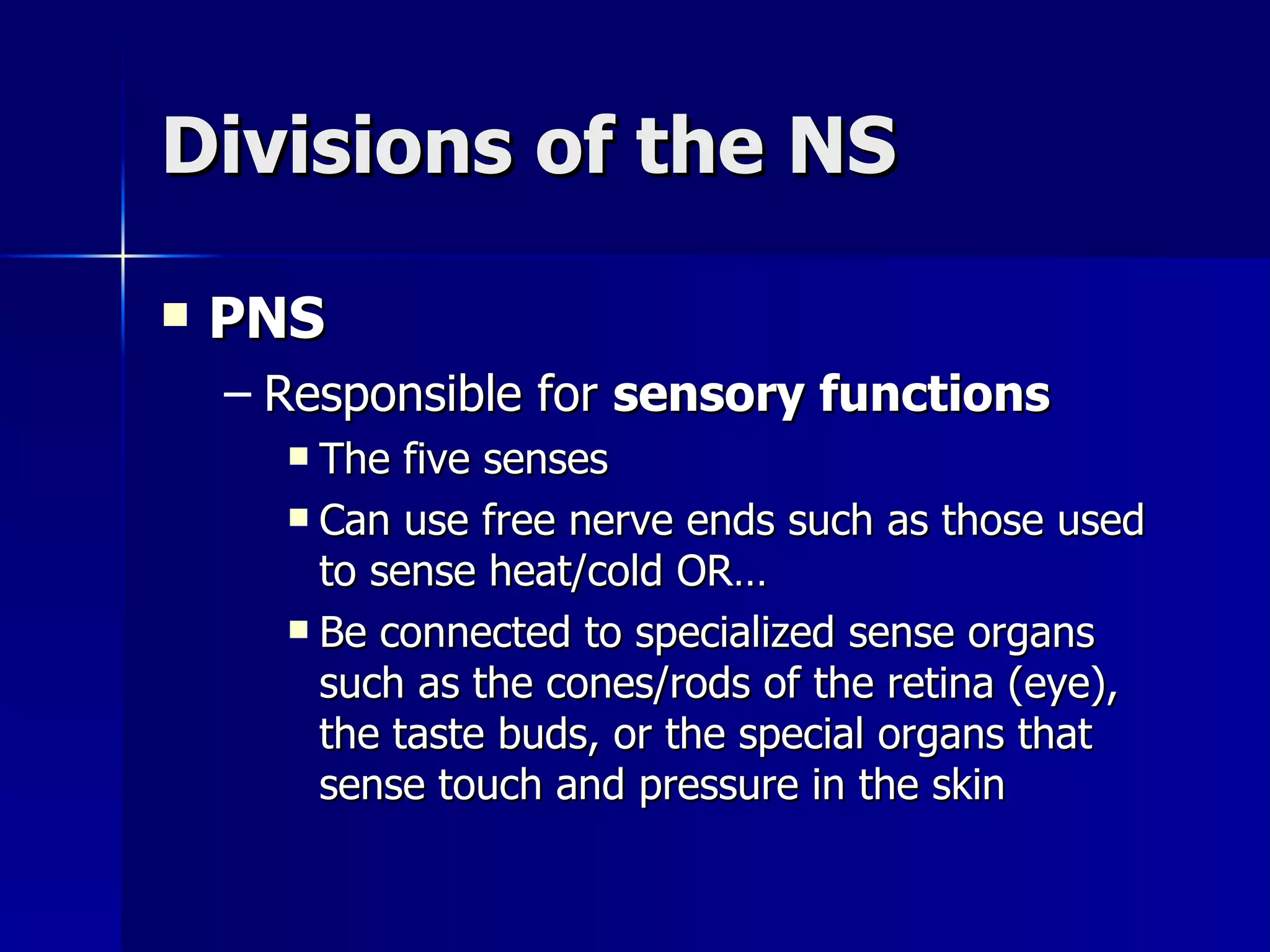 Divisions of the NS PNS Responsible for  sensory functions The five senses Can use free nerve ends such as those used to sense heat/cold OR… Be connected to specialized sense organs such as the cones/rods of the retina (eye), the taste buds, or the special organs that sense touch and pressure in the skin 