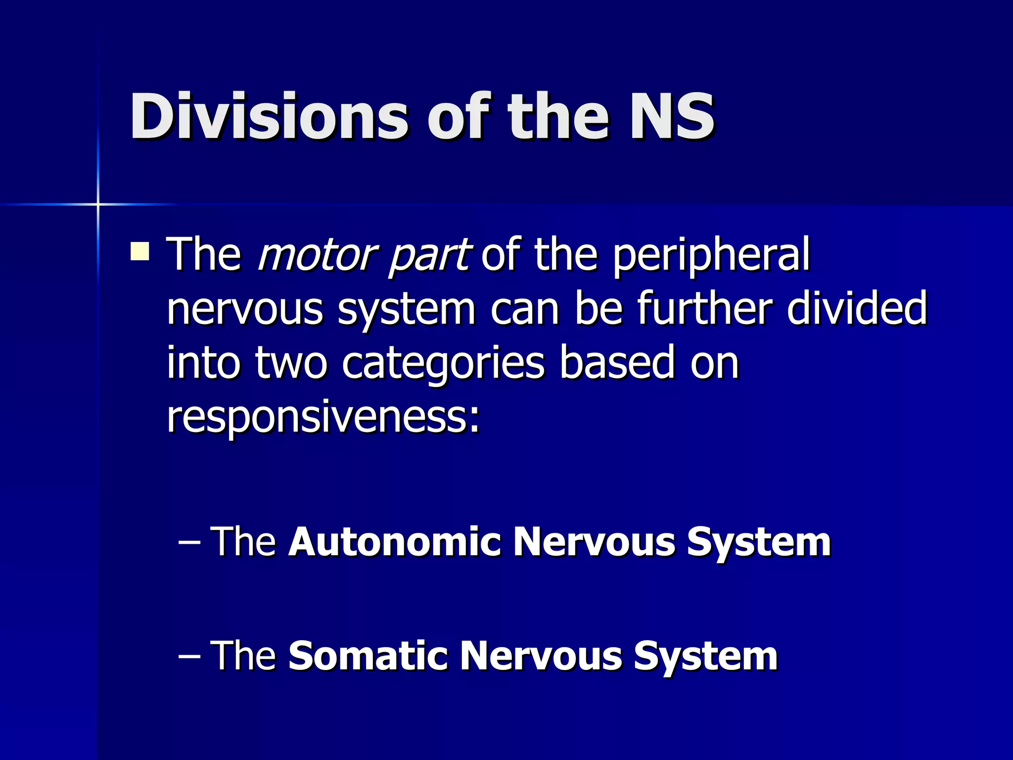 Divisions of the NS The  motor part  of the peripheral nervous system can be further divided into two categories based on responsiveness: The  Autonomic Nervous System   The  Somatic Nervous System 