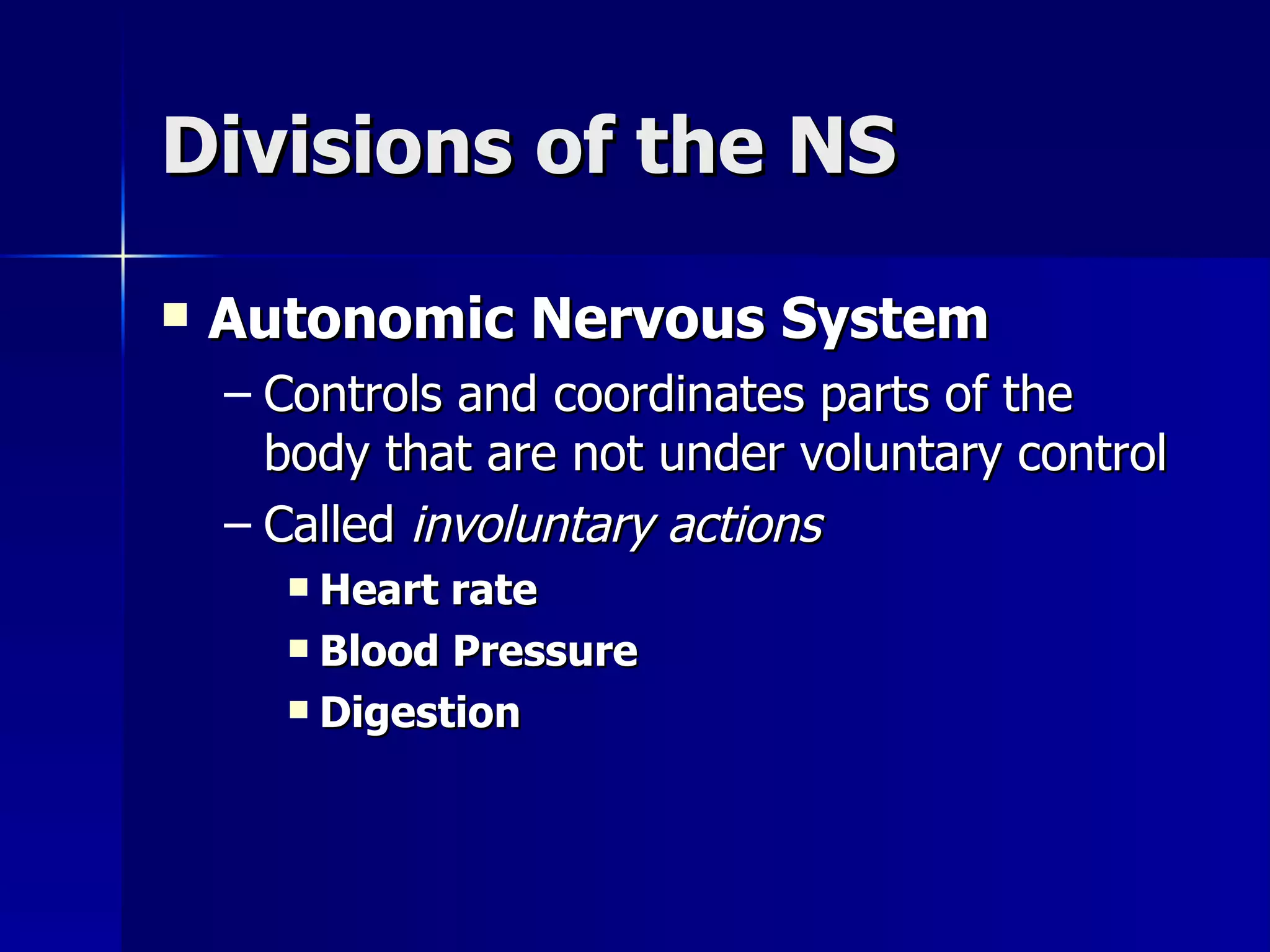 Divisions of the NS Autonomic Nervous System Controls and coordinates parts of the body that are not under voluntary control Called  involuntary actions Heart rate Blood Pressure Digestion 