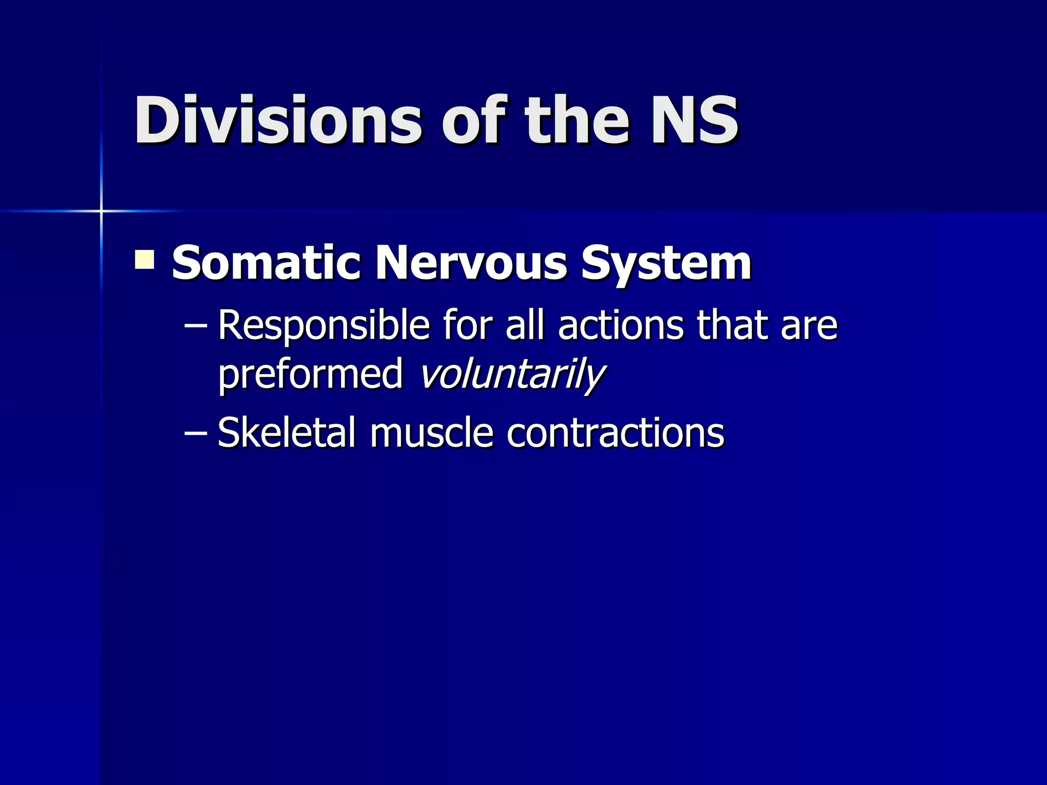 Divisions of the NS Somatic Nervous System Responsible for all actions that are preformed  voluntarily Skeletal muscle contractions 