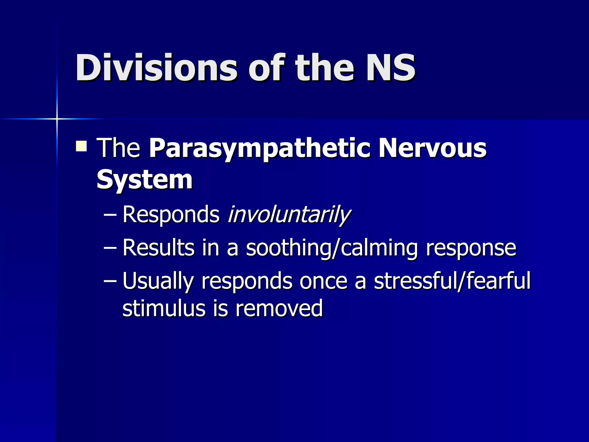 Divisions of the NS The  Parasympathetic Nervous System Responds  involuntarily   Results in a soothing/calming response Usually responds once a stressful/fearful stimulus is removed 