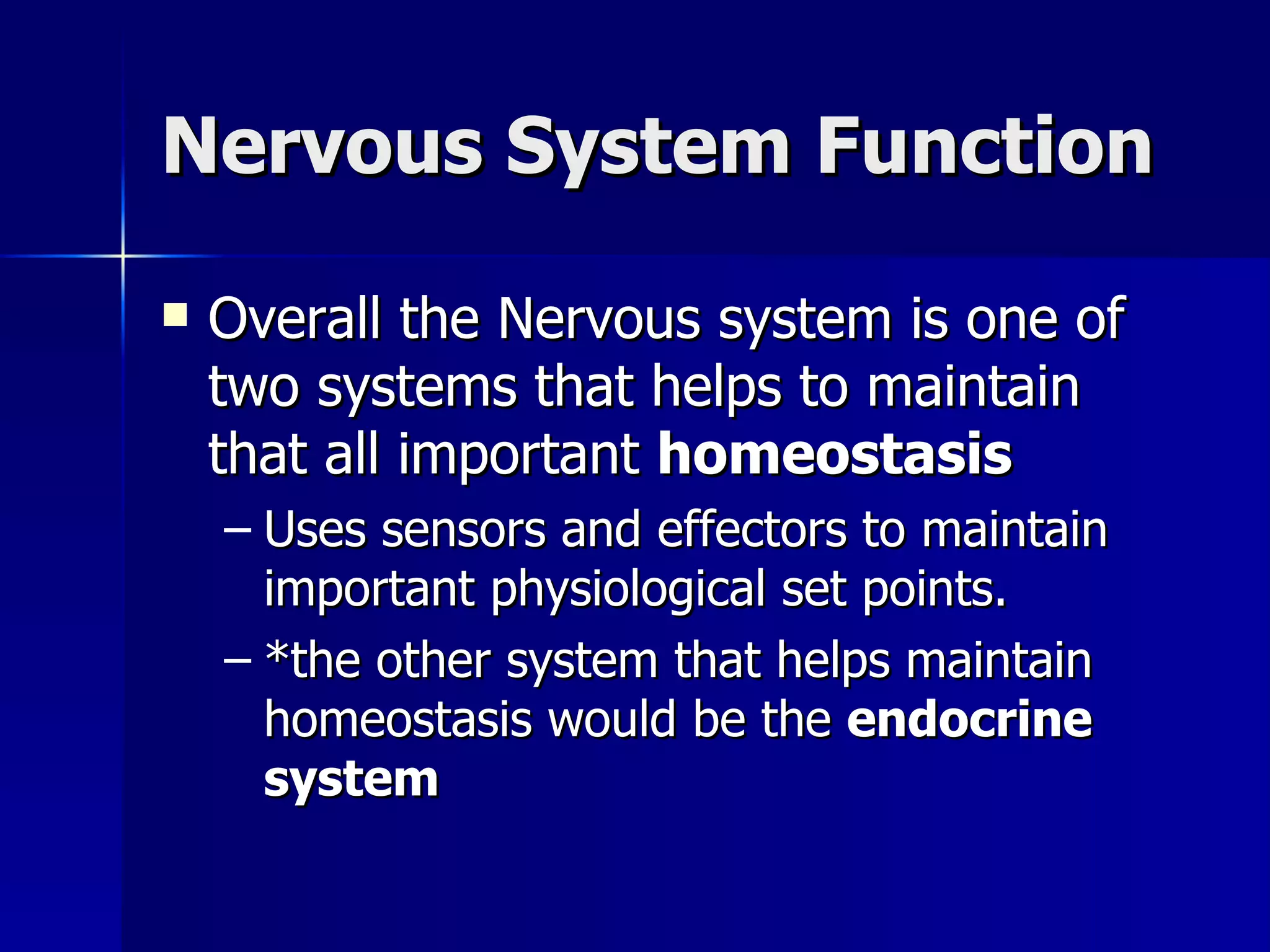 Nervous System Function Overall the Nervous system is one of two systems that helps to maintain that all important  homeostasis Uses sensors and effectors to maintain important physiological set points. *the other system that helps maintain homeostasis would be the  endocrine system 
