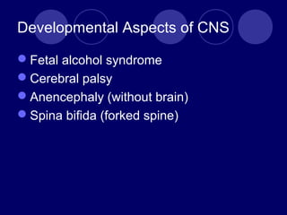 Developmental Aspects of CNS
Fetal alcohol syndrome
Cerebral palsy
Anencephaly (without brain)
Spina bifida (forked spine)
 
