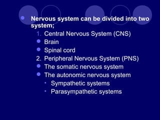  Nervous system can be divided into two
system;
1. Central Nervous System (CNS)
 Brain
 Spinal cord
2. Peripheral Nervous System (PNS)
 The somatic nervous system
 The autonomic nervous system
• Sympathetic systems
• Parasympathetic systems
 