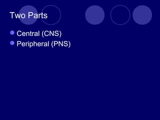 Two Parts
Central (CNS)
Peripheral (PNS)
 