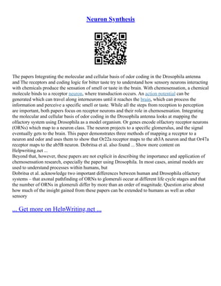 Neuron Synthesis
The papers Integrating the molecular and cellular basis of odor coding in the Drosophila antenna
and The receptors and coding logic for bitter taste try to understand how sensory neurons interacting
with chemicals produce the sensation of smell or taste in the brain. With chemosensation, a chemical
molecule binds to a receptor neuron, where transduction occurs. An action potential can be
generated which can travel along interneurons until it reaches the brain, which can process the
information and perceive a specific smell or taste. While all the steps from reception to perception
are important, both papers focus on receptor neurons and their role in chemosensation. Integrating
the molecular and cellular basis of odor coding in the Drosophila antenna looks at mapping the
olfactory system using Drosophila as a model organism. Or genes encode olfactory receptor neurons
(ORNs) which map to a neuron class. The neuron projects to a specific glomerulus, and the signal
eventually gets to the brain. This paper demonstrates three methods of mapping a receptor to a
neuron and odor and uses them to show that Or22a receptor maps to the ab3A neuron and that Or47a
receptor maps to the ab5B neuron. Dobritsa et al. also found ... Show more content on
Helpwriting.net ...
Beyond that, however, these papers are not explicit in describing the importance and application of
chemosensation research, especially the paper using Drosophila. In most cases, animal models are
used to understand processes within humans, but
Dobritsa et al. acknowledge two important differences between human and Drosophila olfactory
systems – that axonal pathfinding of ORNs to glomeruli occur at different life cycle stages and that
the number of ORNs in glomeruli differ by more than an order of magnitude. Question arise about
how much of the insight gained from these papers can be extended to humans as well as other
sensory
... Get more on HelpWriting.net ...
 