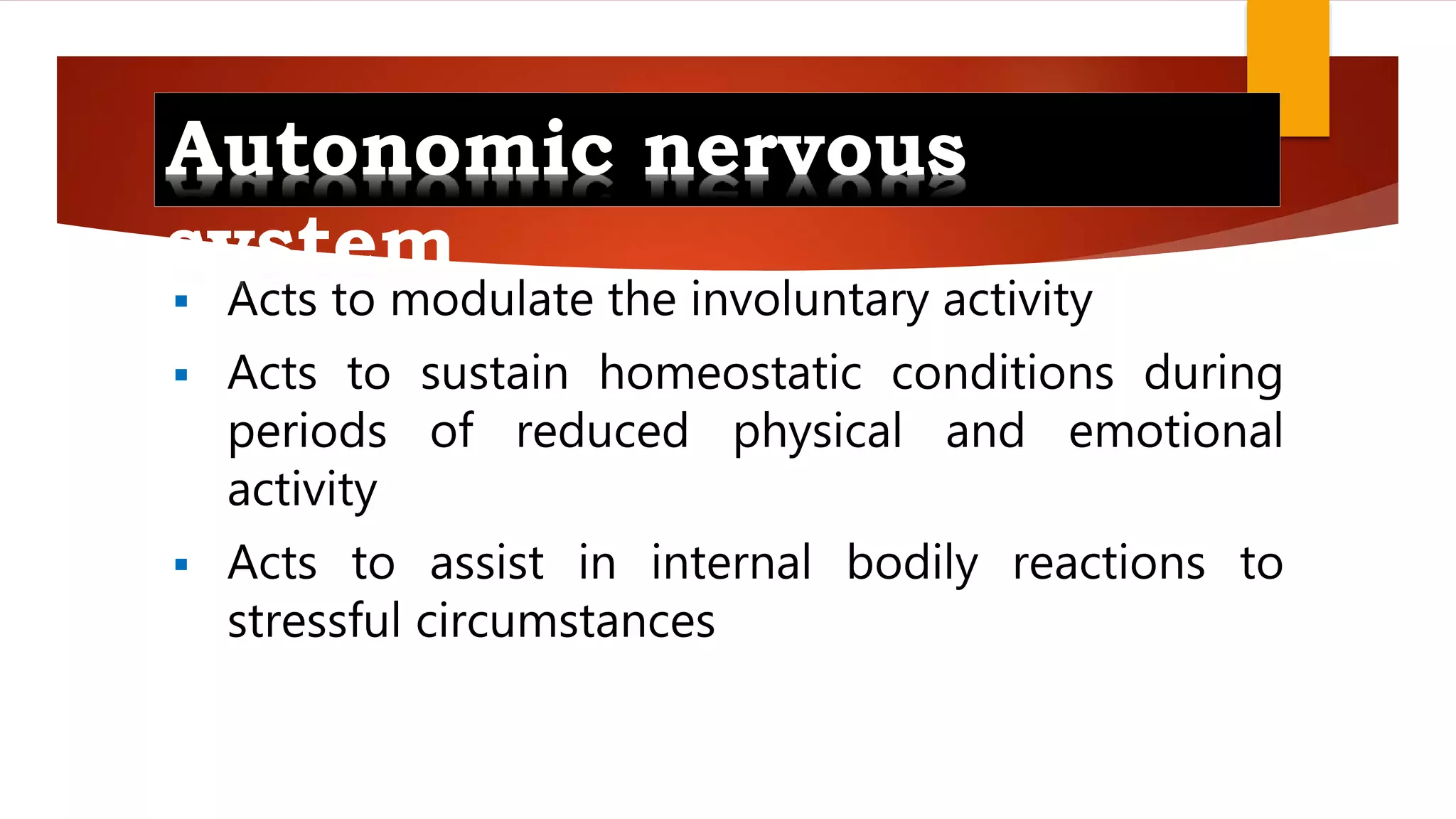 Novious Netris Physiology of the Nervous System | PPT
