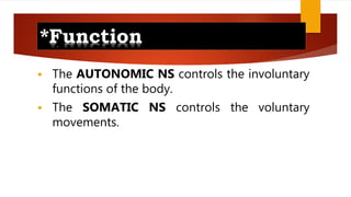 Physiology of the Nervous System | PPTX