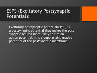 ESPS (Excitatory Postsynaptic
Potential):
• Excitatory postsynaptic potential(EPSP) is
a postsynaptic potential that makes the post
synaptic neuron more likely to fire an
action potential. It is a depolarizing graded
potential of the postsynaptic membrane.
 