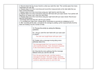 10. Process the activity by asking the following
questions:
Q1. Did you catch the ruler faster with your eyes open
or closed?
Q2. Explain why a message moving along nerve
pathways takes time.
Q3. Describe the nerve pathway that the message
followed when you saw the ruler fall.
d. Record where the top of your thumb is, when you catch the ruler. This number gives how many
centimeters the ruler fell.
e. Repeat steps 2 to 5 five more times and record the measurements on the data table that you
have constructed earlier.
f. Repeat steps 2 to 5 five more times using your right hand to catch the ruler.
g. Repeat steps 2 to 5 five more times using your left hand with your eyes closed. Your partner will
signal you by saying “now” when the ruler drops.
h. Repeat steps 2 to 5 five more times using your right hand with your eyes closed. Record your
data and observations.
i. Exchange tasks and drop the ruler for your partner.
j. To complete your data chart, change all the centimeters to seconds by multiplying by 0.01.
k. After recording all the data, compute for the average by adding up the measurements of all the
trials and dividing it by the number of trials
The ruler was caught faster with eyes open.
The message travels from one neuron to another
until it reaches the brain. Then, the brain’s response
is also transmitted by another set of neurons.
First, the eye sees the ruler, and then sends a
message to the brain. The brain sends a response
through the muscles in the hand. Finally, the muscles
contract to allow the person to catch the ruler.
 