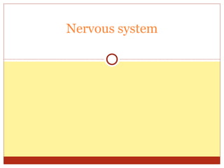 Nervous system 