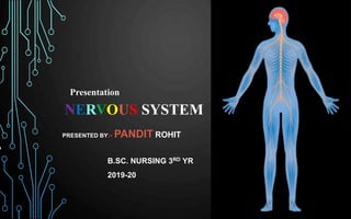 NERVOUS SYSTEM
PRESENTED BY:- PANDIT ROHIT
A
B.SC. NURSING 3RD YR
2019-20
Presentation
 
