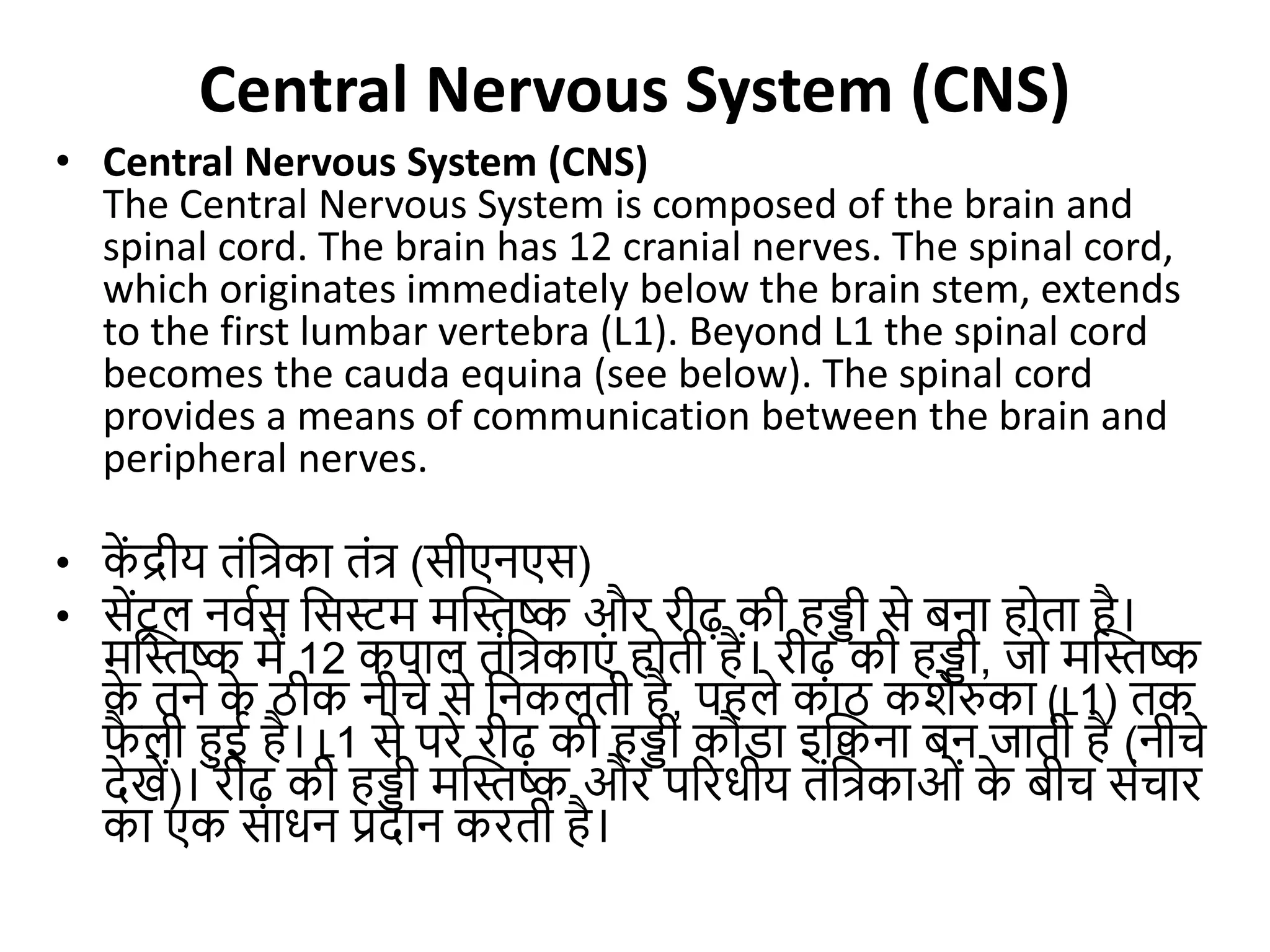 Nervous System human biology in detail.pptx
