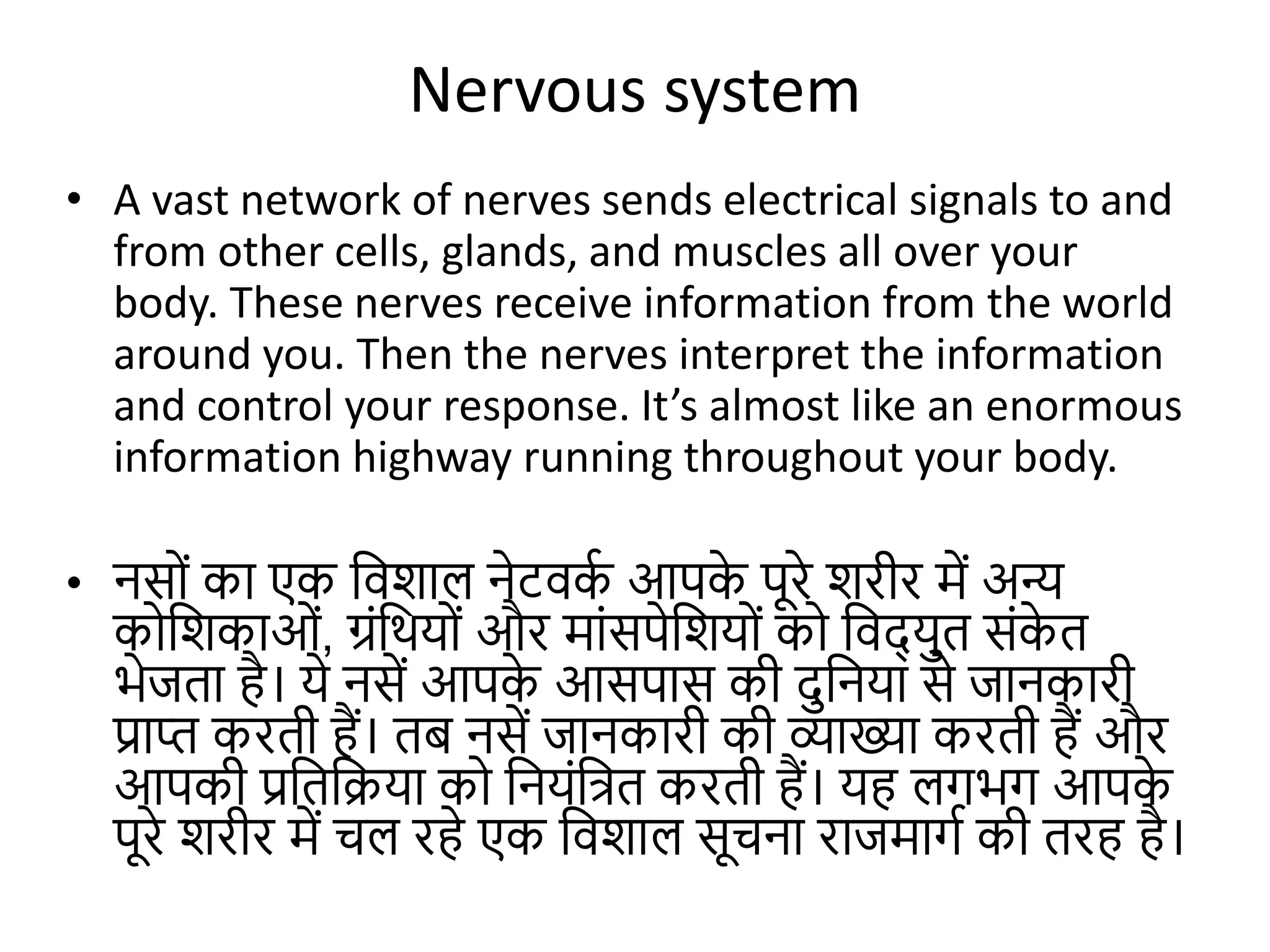 Nervous System human biology in detail.pptx