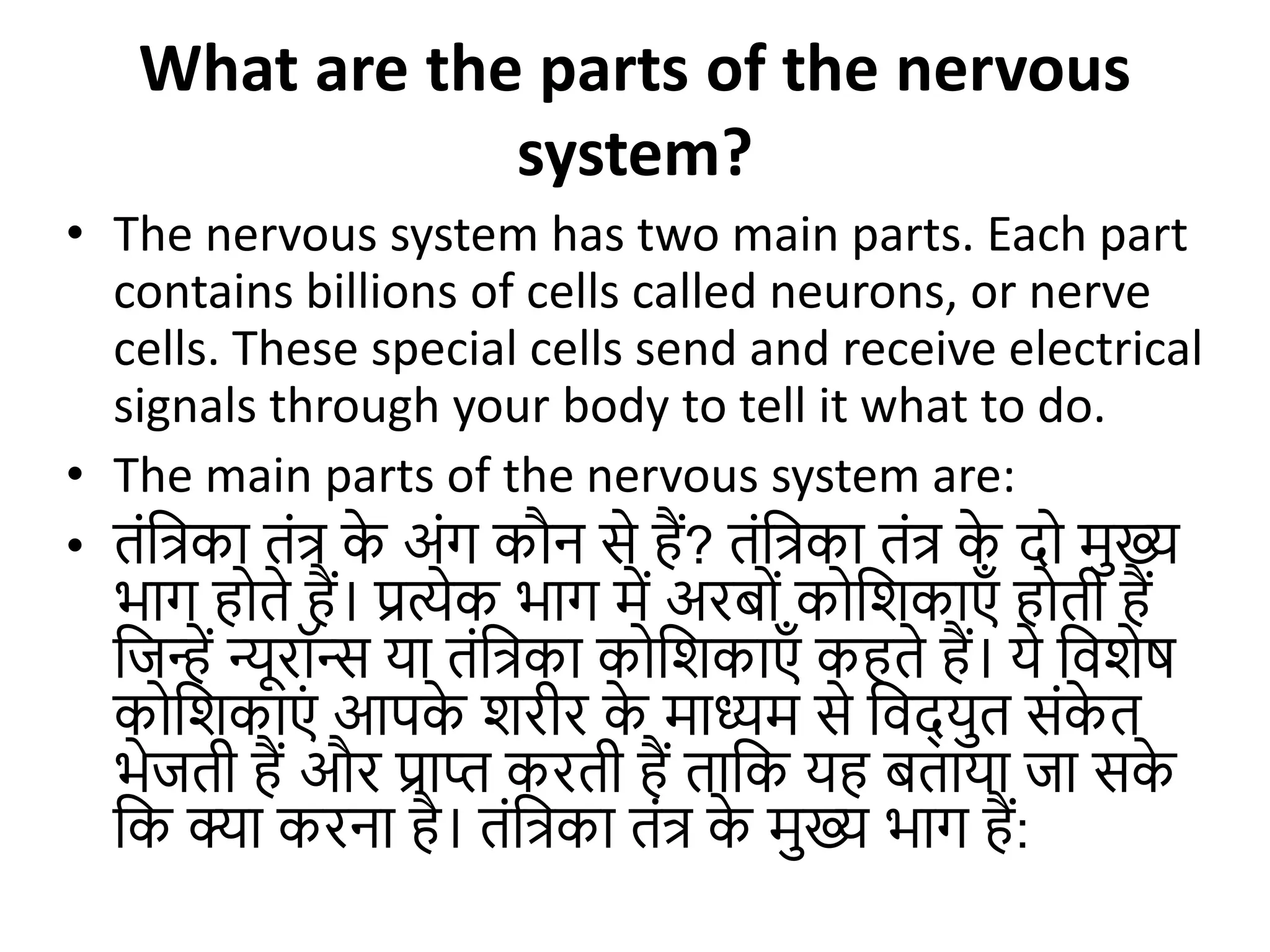 Nervous System human biology in detail.pptx