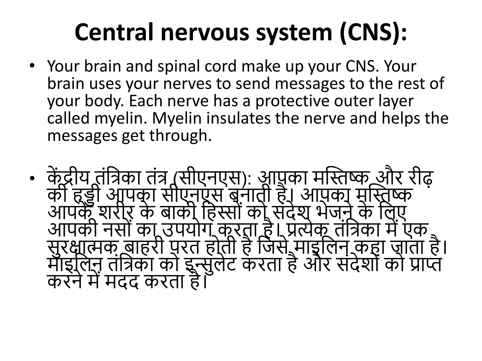 Nervous System human biology in detail.pptx
