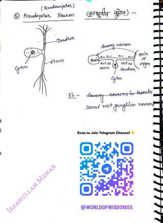 (
Bsendeunipsdas)
<br>
Pseudo pslar Neuwn
<br>
-Dendrom
<br>
Bran
<br>
Aet a
<br>
actas
<br>
Dorsal votgglin
<br>
Scan to Join Telegram Channel
<br>
O0
<br>
@WORLDOFWISDOMSS
<br>
nerong
<br>
 