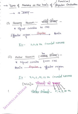 y pes Newns
<br>
Newronu on
<br>
C) Sens
<br>
Snat coies
<br>
Newnen
<br>
EHeotor oan
<br>
Ex
<br>
Byain
<br>
ü) mstor Newron
<br>
e
basis
<br>
the basis
<br>
t0 CNS
<br>
Dnpulae
<br>
( Func on )
<br>
pulse Cncuetion
<br>
Brain
<br>
1,2,8 th Cranial
nerure
<br>
trom CNS
<br>
Snpulae eator engan
<br>
EA- 3,4,6,34,)2 4h Cranial enes
<br>
JoJD- 5,7,9, 40 th
<br>
 