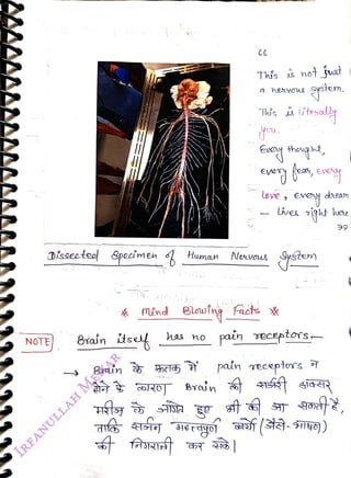 Dissecteal &pecimen
<br>
NOTE
<br>
mind
<br>
Brain set
<br>
Boain
<br>
has o
<br>
66
<br>
yo
<br>
Thís a not ust
<br>
a
heVWS
<br>
Human NeVous
<br>
pain
<br>
Tis
<br>
glnofng Facts *
<br>
Love
,
evey dea
<br>
Lives
igt hese
<br>
teally
<br>
pain Teceptors
<br>
gystem.
<br>
eceptors
<br>
RS-SINo) )
<br>
 