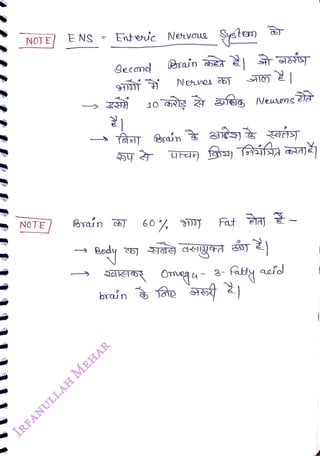 NOTE E
NS
=
Entec Nevous
<br>
NOTE
<br>
gecond
<br>
4
<br>
Brain co)
<br>
10
<br>
rain
<br>
60
<br>
Nen cb)
<br>
Syste
<br>
bran fe
<br>
Vewsong
<br>
faty aeldl
<br>
 