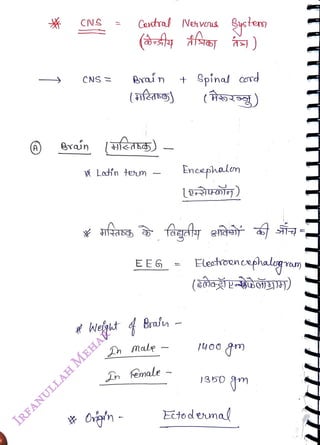 1
<br>
CNS
<br>
CNS
<br>
Grun
<br>
Cotra! Nehvos
<br>
Brai n
<br>
K Latín tem
<br>
EEG =
<br>
male
<br>
n female
<br>
+
<br>
Spinad cord
<br>
(919)
<br>
Encephalon
<br>
le-ro)
<br>
Etectroencefhalogm
<br>
(z0aLo)
<br>
1400
<br>
)850
<br>
Etod emal
<br>
 