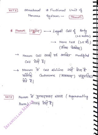 NOTE
<br>
etsal
<br>
Neus
<br>
NOTE Neuon
<br>
* Neunen )
<br>
Neuam Coll 7
<br>
Neuern
<br>
¢
Fuctienal Unit
<br>
ystem
<br>
Powe) 0)04
<br>
Neie
<br>
Cel Uvision
<br>
(15 metey
<br>
Nave Cel (1.5 ,)
<br>
Gatresome (REY ) gufzaa
<br>
(Regenenatfng
<br>
 