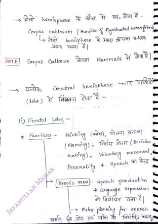 NOT E
<br>
Copus allosum (Bunlle o myebnatel heeti
<br>
L
<br>
Corpus allosum
<br>
(tobe ) Ta9 aar
<br>
Corebral hemisslehe -uR upoj
<br>
(i) Frontal Lobe
<br>
Funeticns
<br>
Marn mals
<br>
thánking (g), as a9)T
<br>
(Planning): Aof aT (0ecisían
<br>
maldng) Velunta
møvemeut
<br>
Personality Speech
<br>
PBroca's aneg
<br>
 