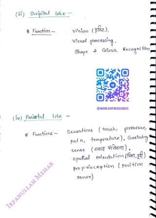 (ii) Ocipitu! obe
<br>
* Funcion
<br>
(iv) Parietal le
<br>
Functiene
<br>
v'sion (ssa)
<br>
Visual
<br>
Shape
<br>
Recogition,
<br>
@WORLDOFWISDOMSS
<br>
Sensatins (tueh oressWe,
<br>
pa' n, temprtwre ), Gustarg
<br>
Sense (Falç
<br>
spafta! ovrfuntetien (fe, )
<br>
pro pmoception lpositfem
<br>
gene)
<br>
 