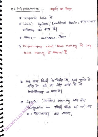(C) Hippocampu
<br>
X Temparal Lobe
<br>
* Limbic System Emo tional Braín ) qeHES
<br>
Sea heose
<br>
* Hippecaumpus ahort toun nemo
<br>
term memo
<br>
51
<br>
(fas)
<br>
* Spatfa
<br>
Newgahon
<br>
memog
<br>
lomg
<br>
 