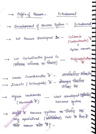 Ongin Neaon -
<br>
Dvelopment Ners
<br>
lst Newen
<br>
Lowe
<br>
1st Caphalizatfon kend in
<br>
Dovelepud In
<br>
invetebrates
<br>
, Disects (Arthspoda)
<br>
Veterates
<br>
( Mammals )
<br>
srg Nenvous
<br>
Newon
<br>
Ectoemal
<br>
s)
<br>
-
<br>
Cnidaa
<br>
heeue
<br>
Ectodemal
<br>
(Coalenterata)
<br>
-
s7
<br>
Apslan
<br>
Platyhelminta
<br>
deeleped (gaan)
<br>
speaialized (afafaa) Cel
<br>
aj
<br>
 