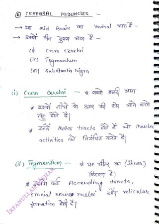 (6) CERE BRAL
<br>
1
<br>
(if)
<br>
PEDUNcES
<br>
Braun
<br>
CYurg Coeb
<br>
) Tegmentum
<br>
(m) Subtanti higra
<br>
e
<br>
Isgmentum
<br>
9ctivities c
<br>
formation
<br>
motos
tacs mascle
<br>
Vevtral 1)
<br>
Aecendig
<br>
(ahne
<br>
c Yanial nenee nuolet 3 veticular
<br>
tsuets,
<br>
 