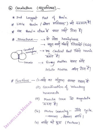 Laget
<br>
Bra n
stemT
<br>
Gerebal
<br>
nenigene.
<br>
-Vemix
<br>
Functons -
<br>
Past o Baín.
<br>
(o)
<br>
ity Ceordinatfon
4 vdunty
<br>
(iv)
<br>
mevemeds
<br>
hemispheue
<br>
muscle tone Retulate
<br>
Motos
<br>
(Postwe)
<br>
 