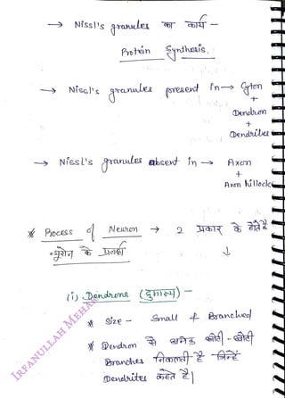 Nissl's
<br>
Niscl's
<br>
Process
<br>
ranules
<br>
Protún heaís.
<br>
grnlee oreaent fn Gten
<br>
NÍssl's ranulea abcent in -
<br>
Neuton
<br>
(í) Dendrene (h)
<br>
erñg
<br>
y)
<br>
Qendron
<br>
Pranchea
o
<br>
Denelriteu 5Ed
<br>
Denahon
<br>
Dendilee
<br>
Axm
<br>
Small Braneheo
<br>
+
<br>
Axon illocke
<br>
-
<br>
 