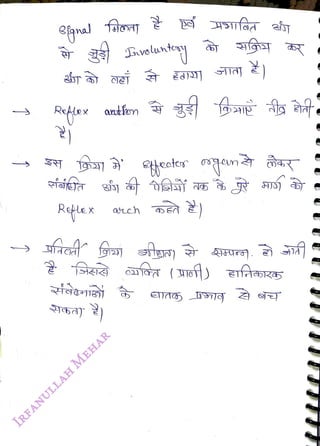 1
<br>
Retlex
<br>
faiaj
<br>
Svelunty
<br>
antfon
<br>
 