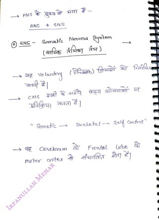 PNS
a
<br>
(A) SNS
<br>
ANS
<br>
Bomate Nervous ystem
<br>
C)S
<br>
Somatfc
<br>
Vo
<br>
Sonetc
<br>
Cerebum
<br>
noter Crstex
<br>
b)
<br>
Skeletal get Contro
<br>
Frmfal
<br>
(obe
<br>
 